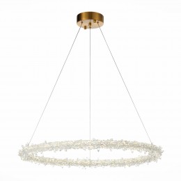 Подвесная люстра ST Luce Lucchero SL6105.213.01