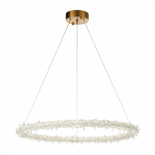 Подвесная люстра ST Luce Lucchero SL6105.213.01