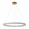 Подвесная люстра ST Luce Lucchero SL6105.213.01