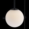 Подвесной светильник Loft It Signal 10029PS Black