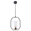 Светильник подвесной Arte Lamp CELAENO A7004SP-1BK