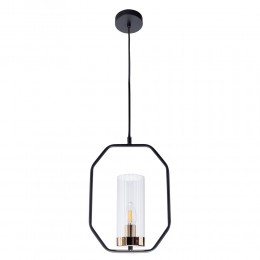 Светильник подвесной Arte Lamp CELAENO A7004SP-1BK