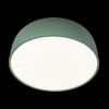 Потолочный светильник Loft It (Light for You) Axel 10201/480 Green