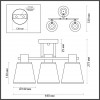 Люстра потолочная Lumion COMFI 5219/3C