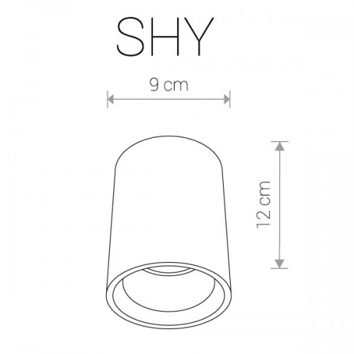 Потолочный светильник SHY 9390