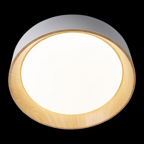 Потолочный светильник Loft It (Light for You) Coin 10202 White