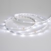 Светодиодная лента RT 2-5000 24V White6000 0.5x (3528, 150 LED, LUX) (Arlight, 2.9 Вт/м, IP20)