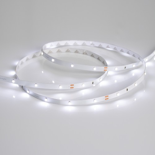 Светодиодная лента RT 2-5000 24V White6000 0.5x (3528, 150 LED, LUX) (Arlight, 2.9 Вт/м, IP20)