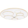 Светильник потолочный Globo Lighting Tarabina 48279-80