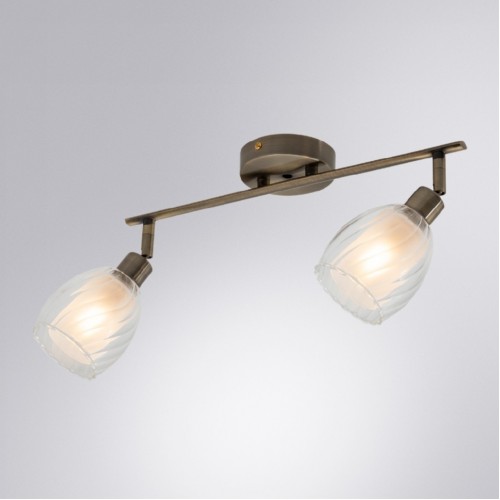 Спот Arte Lamp BIHAM A3184PL-2AB