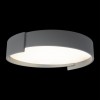 Потолочный светильник Loft It (Light for You) Coin 10200 Grey