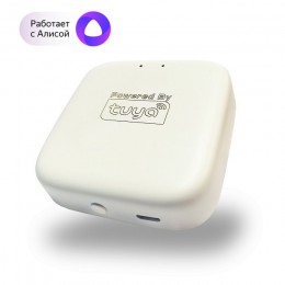 WI-FI Converter Denkirs Smart DK7400-WF