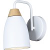 Бра Toplight Kerri TL0724W-1W