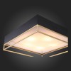 Светильник потолочный ST Luce CHODO SL1127.422.05