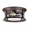 Ландшафтный потолочный светильник Odeon Light NATURE 4961/2C