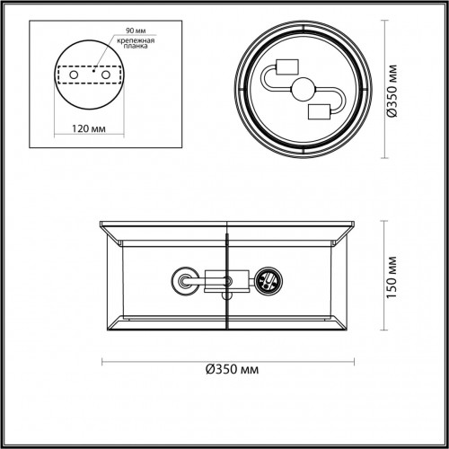 Ландшафтный потолочный светильник Odeon Light NATURE 4961/2C