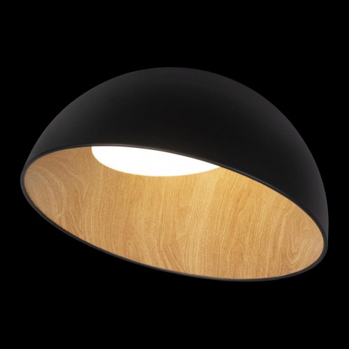 Потолочный светильник Loft It (Light for You) Egg 10197/500 Black