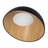 Потолочный светильник Loft It (Light for You) Egg 10197/500 Black