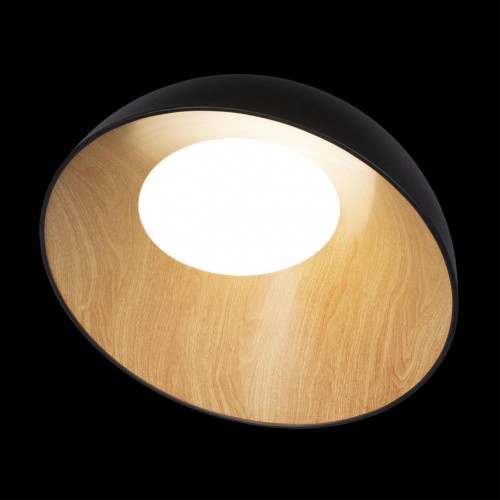 Потолочный светильник Loft It (Light for You) Egg 10197/500 Black