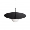 Подвесной светильник Loft It (Light for You) Ufo 10120/350P Black