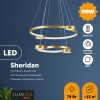 Люстра подвесная Lumion Ledio 5247/79L