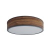 Подвесной светильник Woodled GALACTIC Jupiter Ring UR-02-02-L