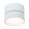 Светильник потолочный поворотный ST Luce 14W ST651.532.14