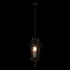 Уличный подвесной светильник Loft It (Light for You) Verona 100003P