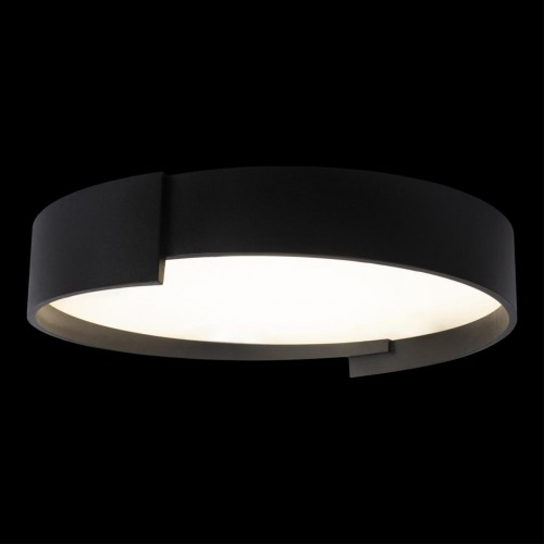 Потолочный светильник Loft It (Light for You) Coin 10200 Black