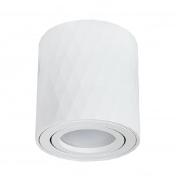 Точеченый светильник Arte Lamp FANG A5559PL-1WH