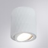 Точеченый светильник Arte Lamp FANG A5559PL-1WH