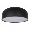 Потолочный светильник Loft It (Light for You) Axel 10201/480 Black