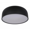 Потолочный светильник Loft It (Light for You) Axel 10201/480 Black