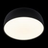 Потолочный светильник Loft It (Light for You) Axel 10201/480 Black