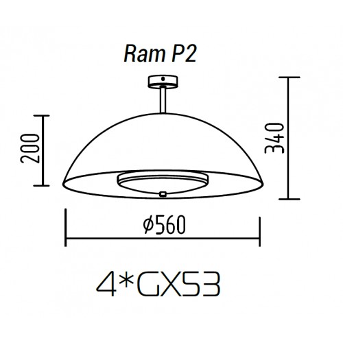 Потолочный светильник TopDecor Ram P2 10