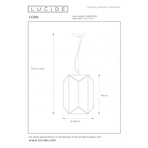 Подвесной светильник Lucide FERN 25406/01/30