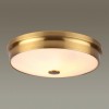 Настенно-потолочный светильник Odeon Light MARSEI 4824/4C