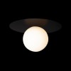 Подвесной светильник Loft It (Light for You) Ufo 10120/250C Black