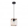 Светильник Arte Lamp DUBLIN A7025SP-1BK