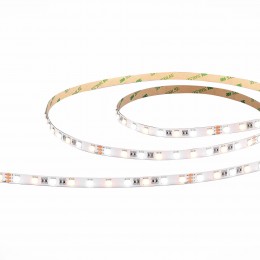 Светодиодная лента SMD5050 ST Luce  ST020.018.20