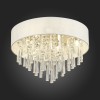 Светильник потолочный ST Luce MIRIA SL1351.502.06