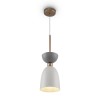 Подвесной светильник Maytoni Modern Cloches MOD113PL-01W