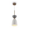 Подвесной светильник Maytoni Modern Cloches MOD113PL-01W