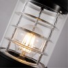 Уличный светильникArte Lamp COPPIA A5217FN-1BK