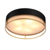 Светильник потолочный ST Luce CHODO SL1127.432.05