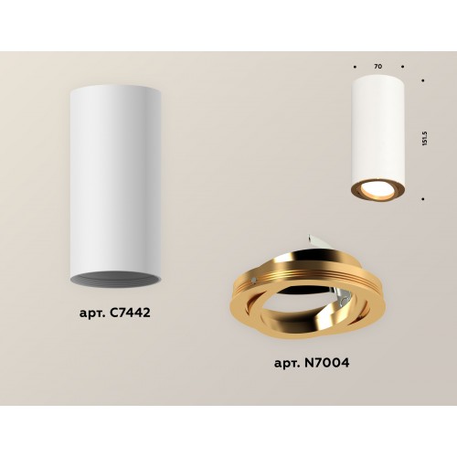 Комплект накладного поворотного светильника Ambrella Techno XS7442004