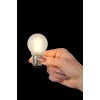 Лампочка светодиодная диммируемая Lucide LED BULB 49021/04/67