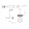 Люстра подвесная Evoluce Rida SLE283203-06