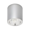 Точечный светильник DOWNLIGHT 4867