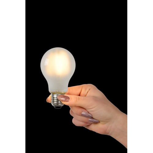 Лампочка светодиодная диммируемая Lucide LED BULB 49020/05/67